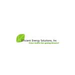 Efficient Energy Solutions Inc