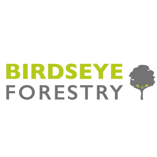 Sustainable Vermont Forest Management | Birdseye Forestry