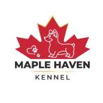 maple haven