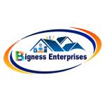 Bigness Enterprises