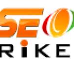 SEO Strikers
