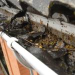 Professional Gutter Cleaning Services In Miami