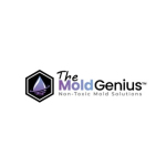 themoldgenius Attic Mold Removal