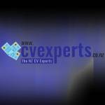 CV Experts