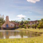 From Stress Relief to Immune Support: The Role of Holistic Wellness - Tumblrblog