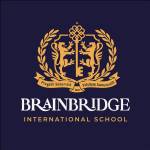 Brain Bridge International School