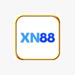 xn881net