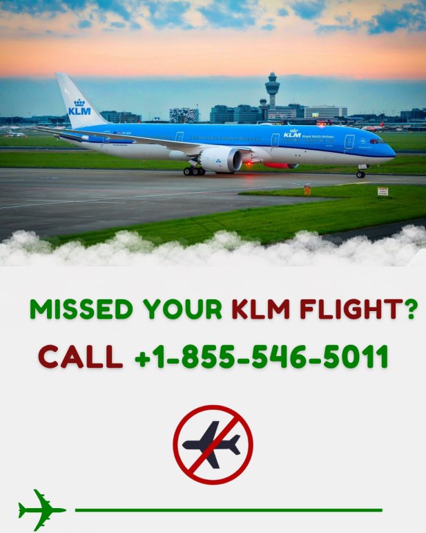 Missed Your KLM Flight? Here's What You Need to Know Article - ArticleTed -  News and Articles