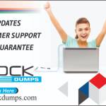 mock dumps
