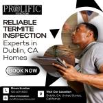 Prolific Inspections