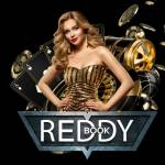 Reddy Book