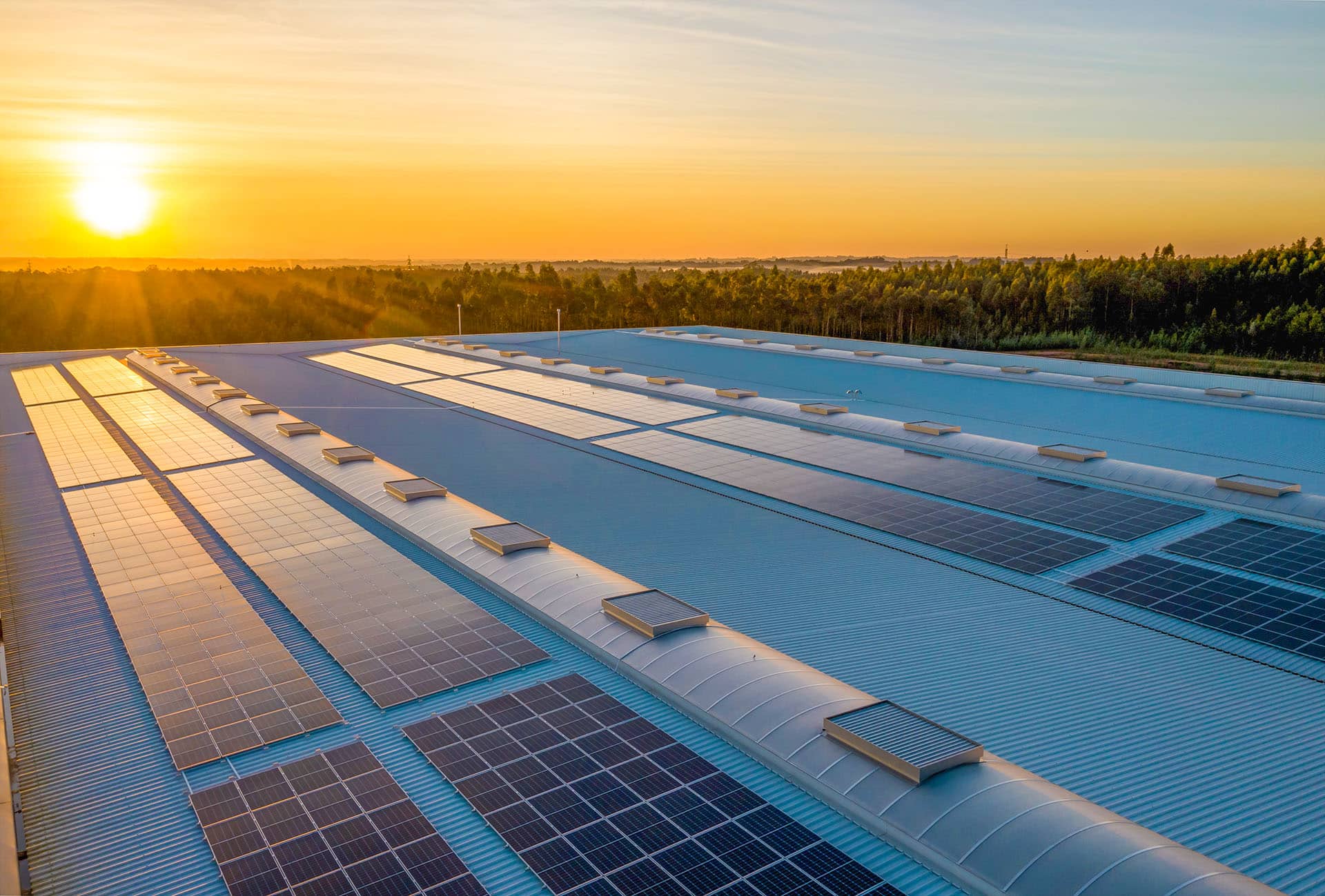 Custom Flexible Solar Panel | Sun Gold Solar