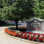 Audubon Plantation Ridge