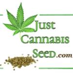 Sativa Seeds