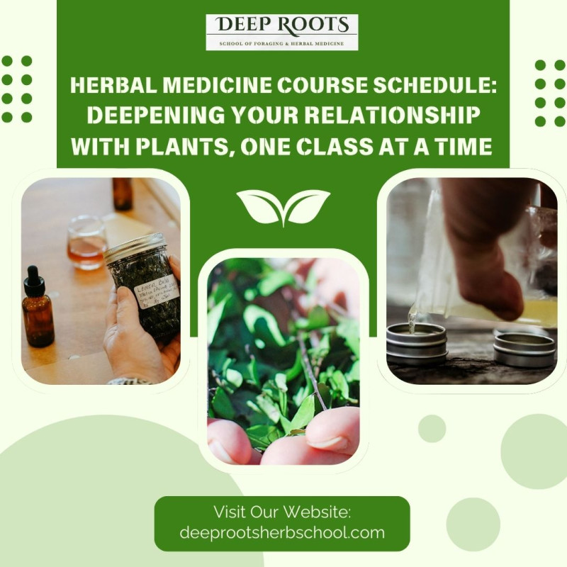 Herbal Medicine Course Schedule: Deepening Your Relationship with Plants, One Class at a Time : deeprootsherbsc — LiveJournal