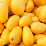 Best Pakistani Mangoes Online