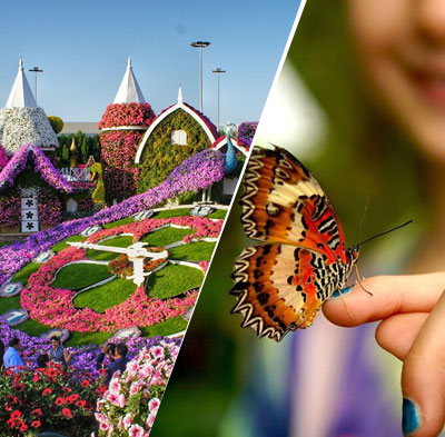 Miracle Garden and Butterfly Garden Combo Tickets