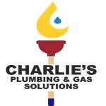 Charlies Plumbing