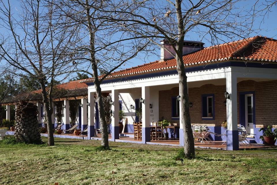 Ibogaine Treatment Centre - Iboga Clinics, Ibogaine Therapy