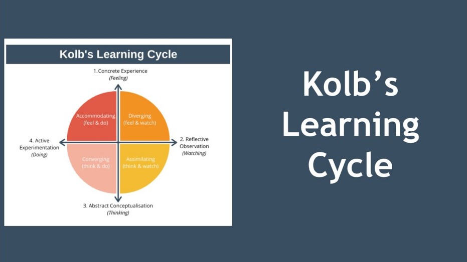 How to Build Your Kolb's Learning Reflective Essay For A+ - The Fan News