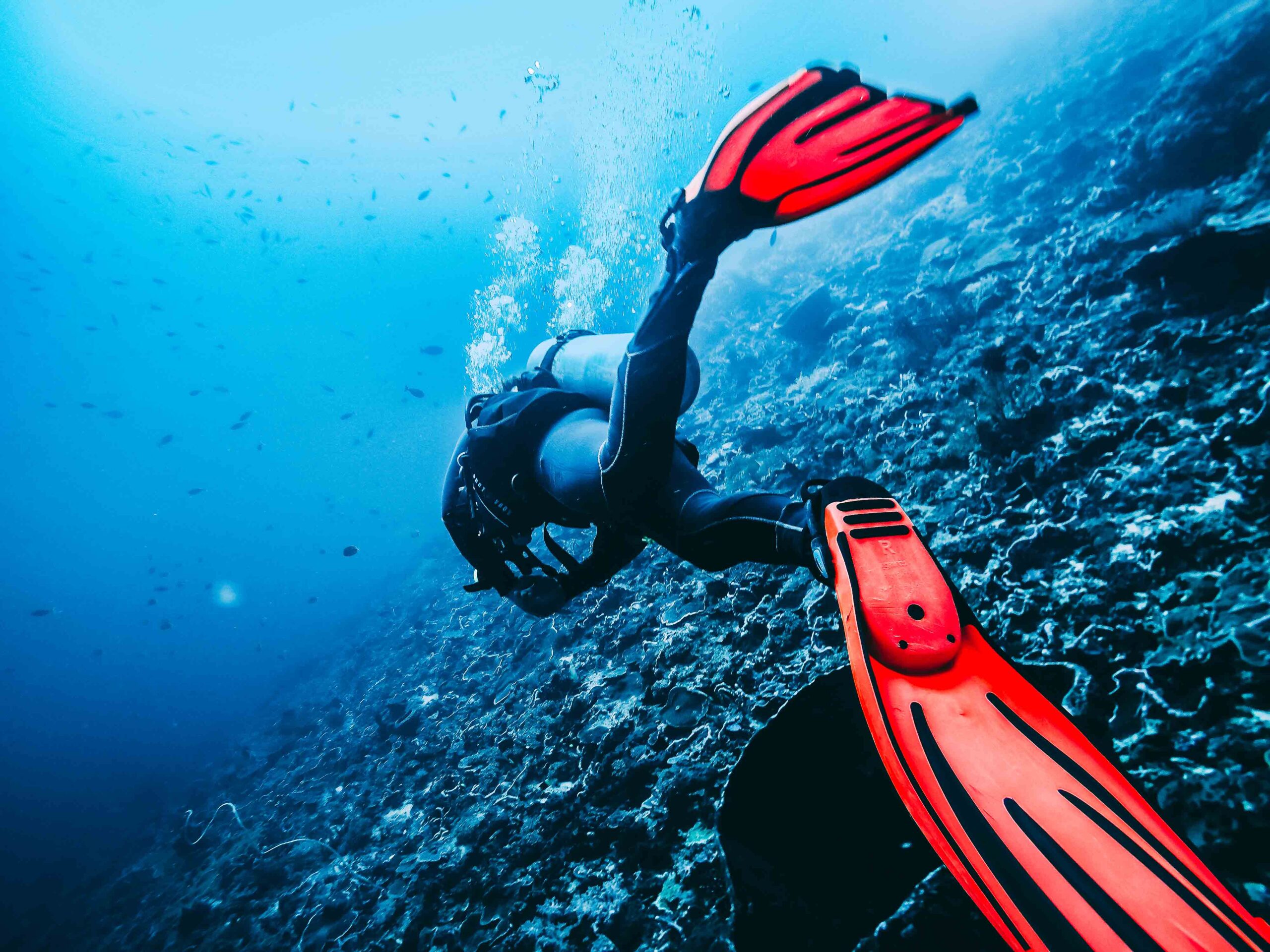 Plongée à Nusa Penida Bali | Karma Diving & Yoga