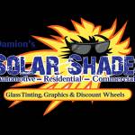 Damions Window Tinting Paint Protection De