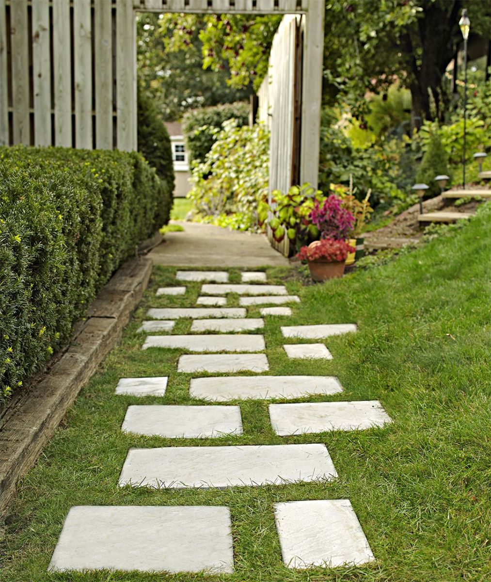 Looking for Paving Dublin and Tree Trimming Experts? – Premier Gardens
